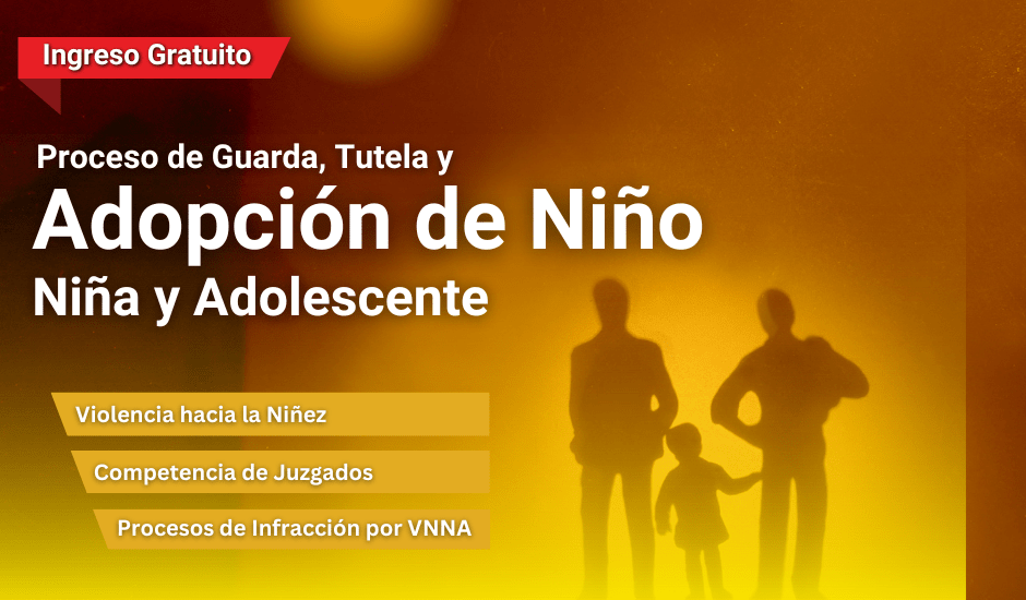 Curso: Proceso de Guarda, Tutela y Adopción de Niño, Niña y Adolescente