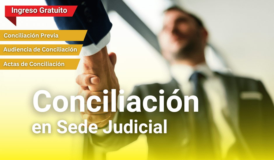 Curso: Conciliación en Sede Judicial