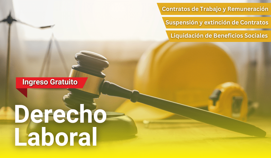 Curso: Derecho Laboral y Seguridad Social