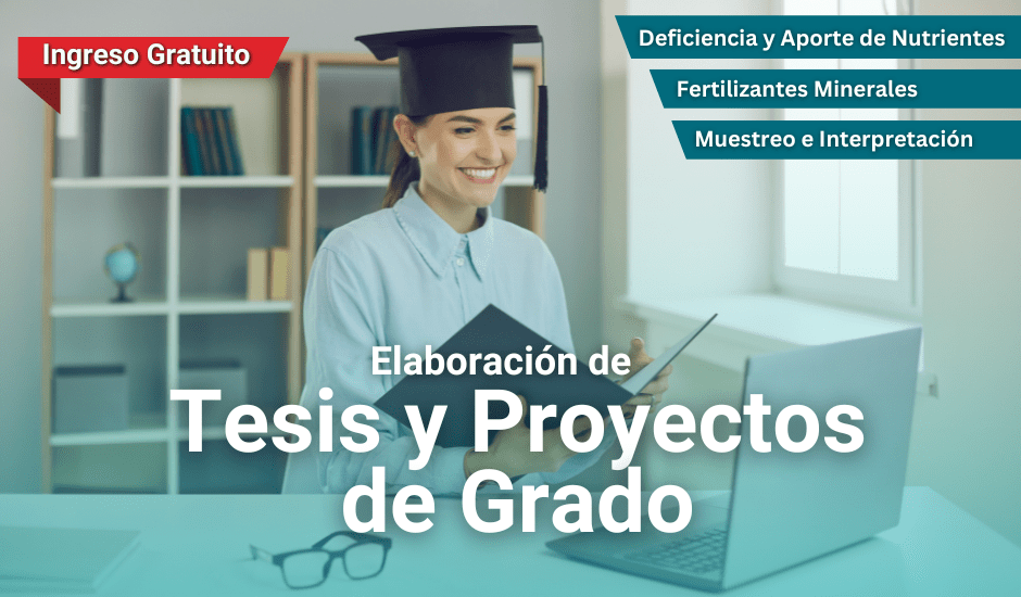 Curso: Elaboración de Tesis y Proyectos de Grado