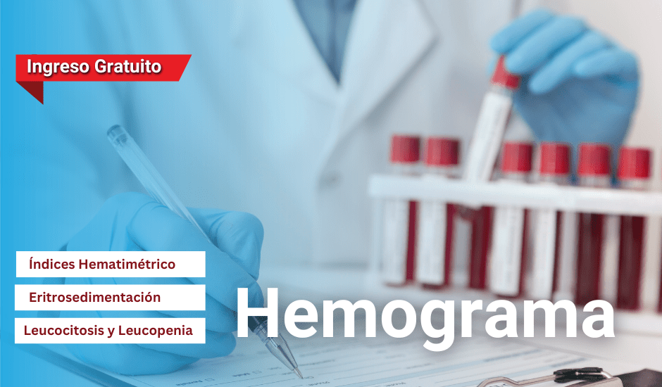 Curso: Hemograma