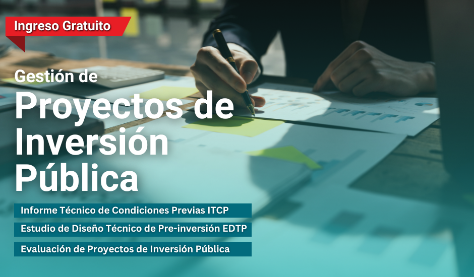 Curso: Gestión de Proyectos de Inversión Pública