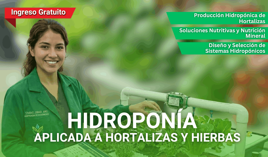 Curso: Hidroponía Aplicada a Hortalizas y Hierbas